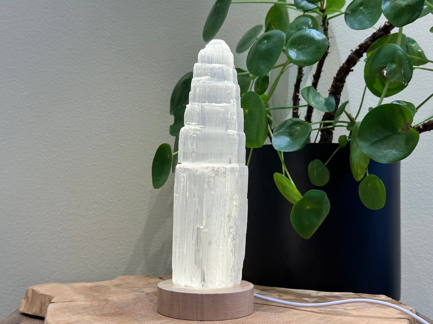 Led plateau