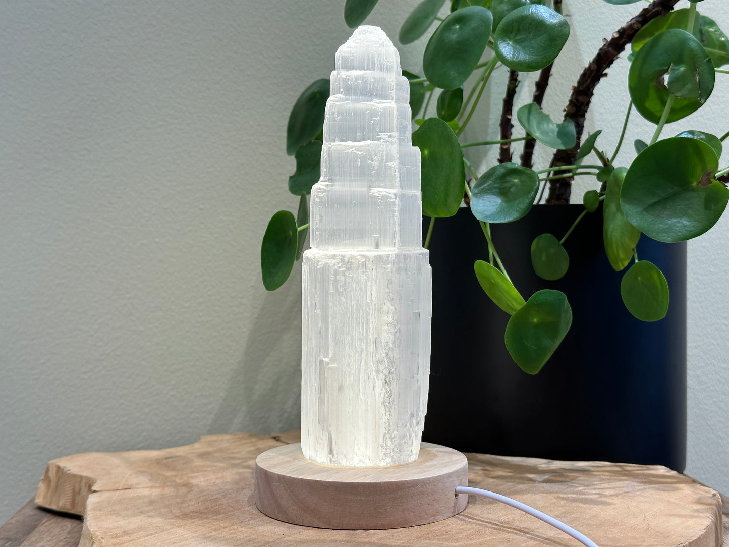 Led plateau