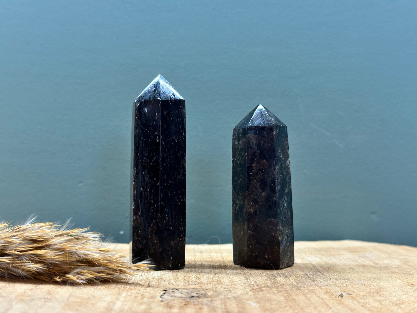 Granaat met zwarte kyaniet in matrix, obelisk