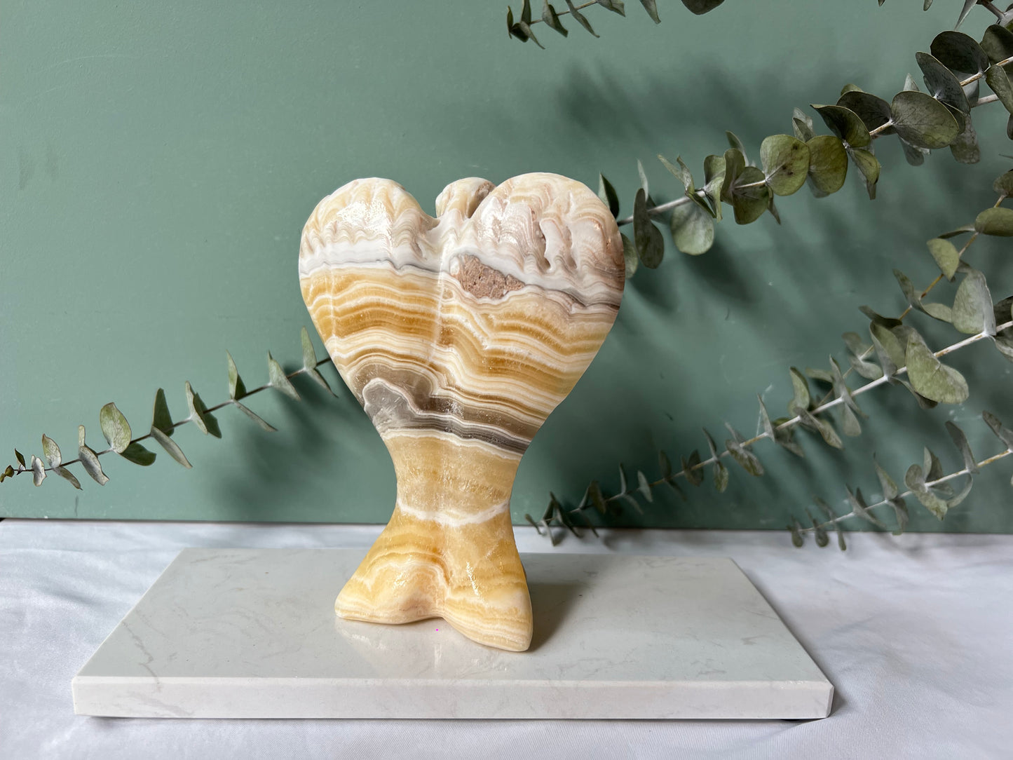 Calciet zebra, engel