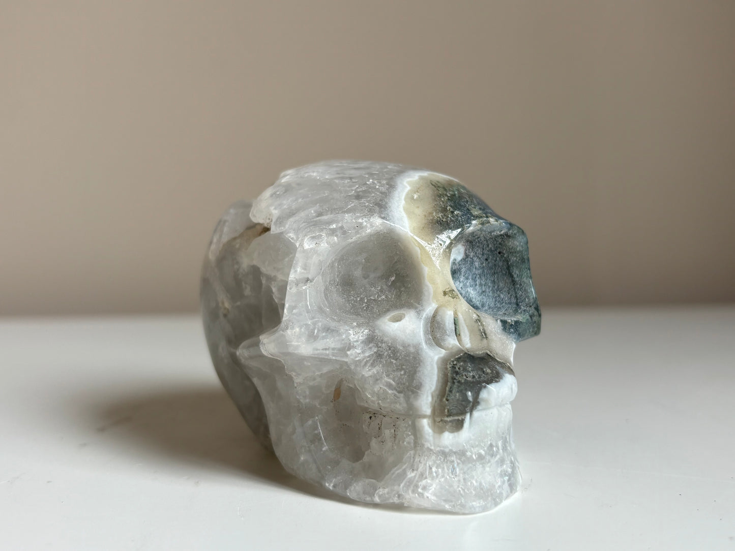 Mosagaat skull (schedel)