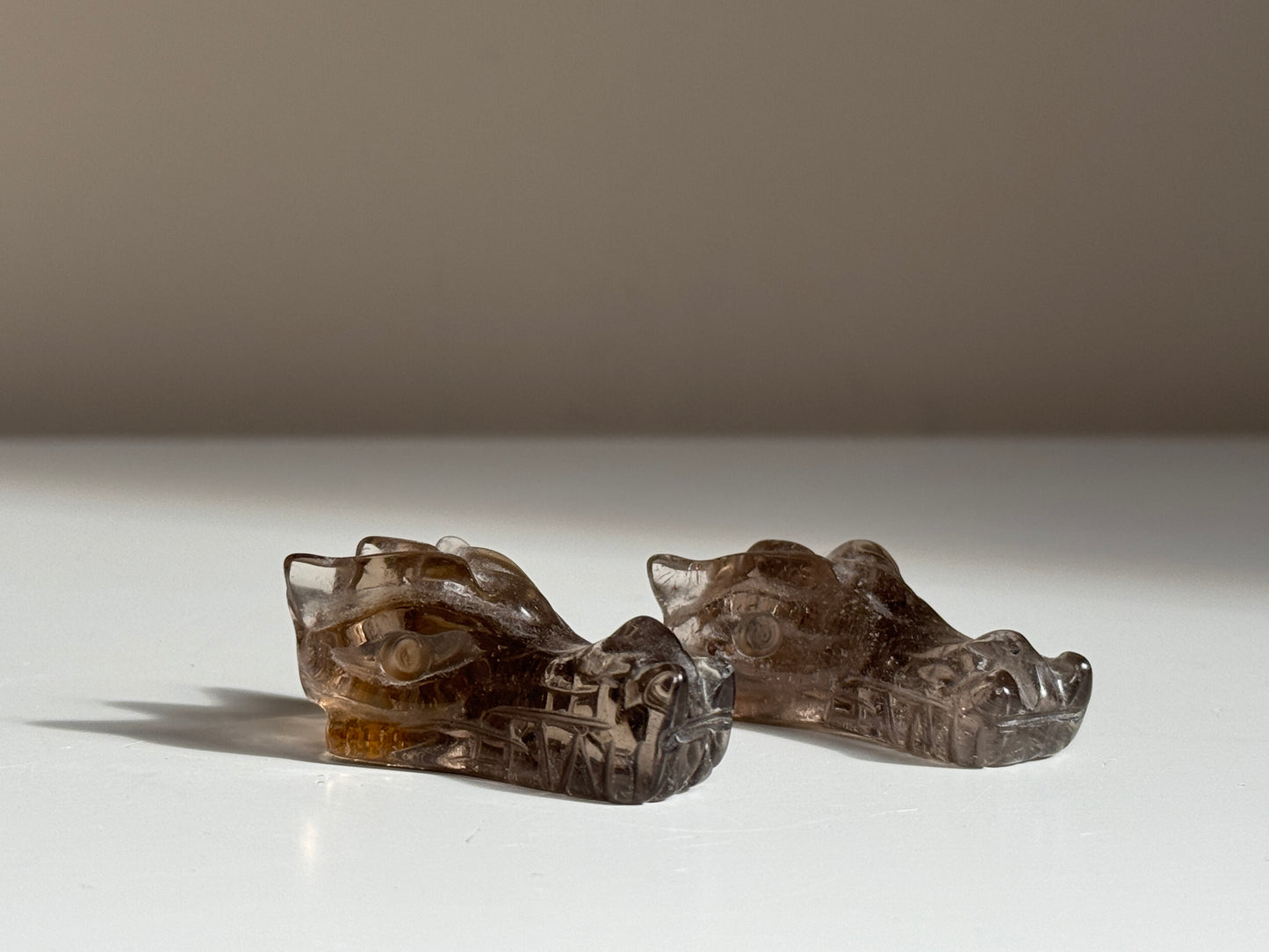 Rookkwarts, drakenhoofd