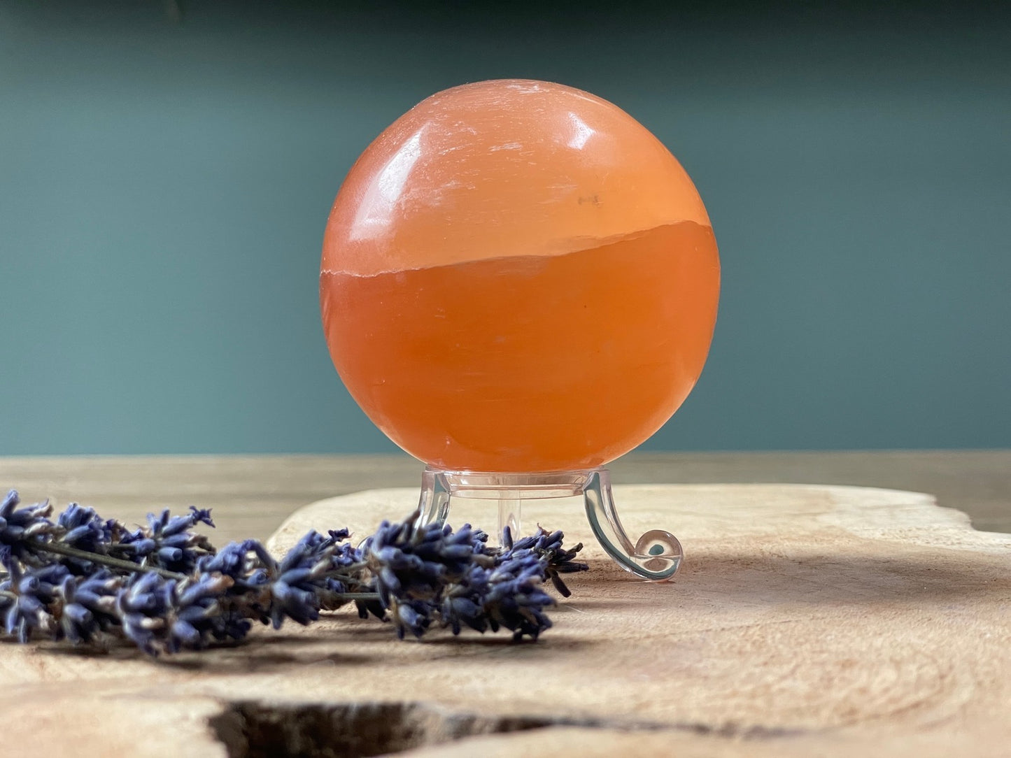 Seleniet oranje, bol 7-8 cm