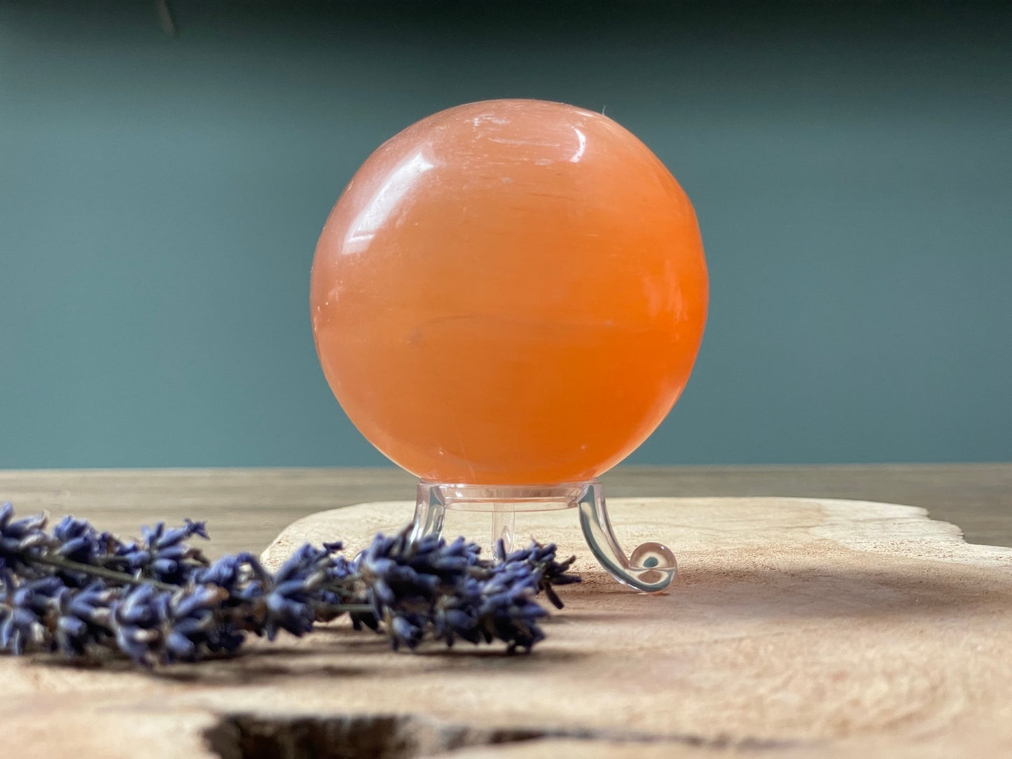 Seleniet oranje, bol 7-8 cm