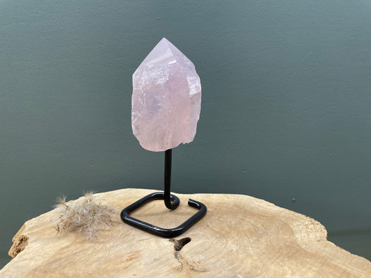 Rozenkwarts op standaard