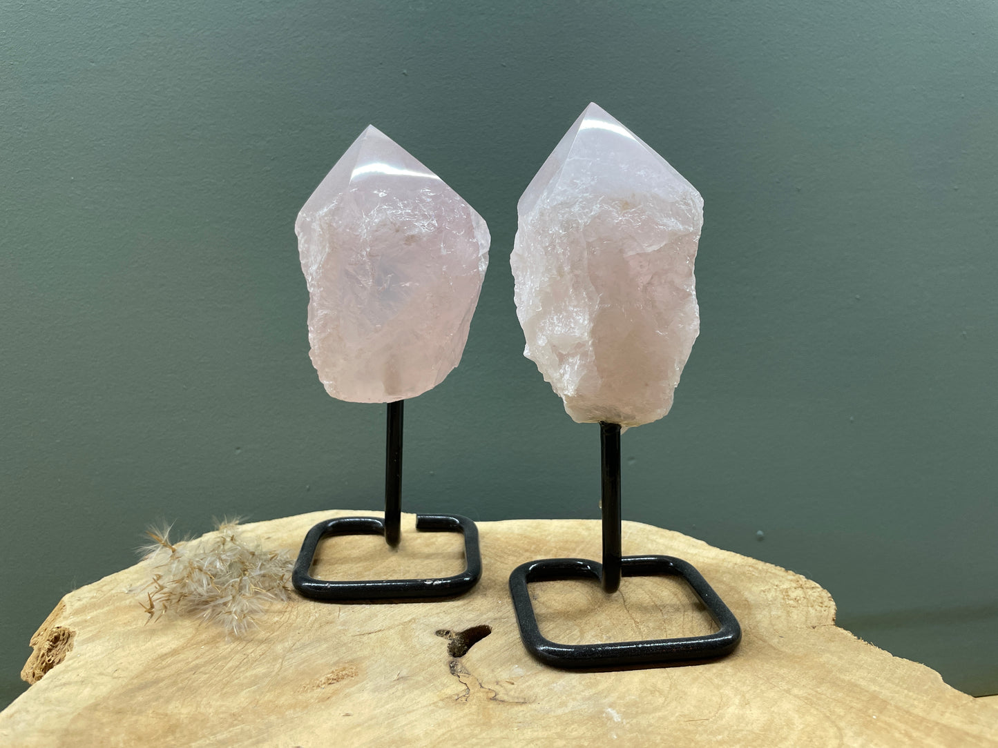 Rozenkwarts op standaard