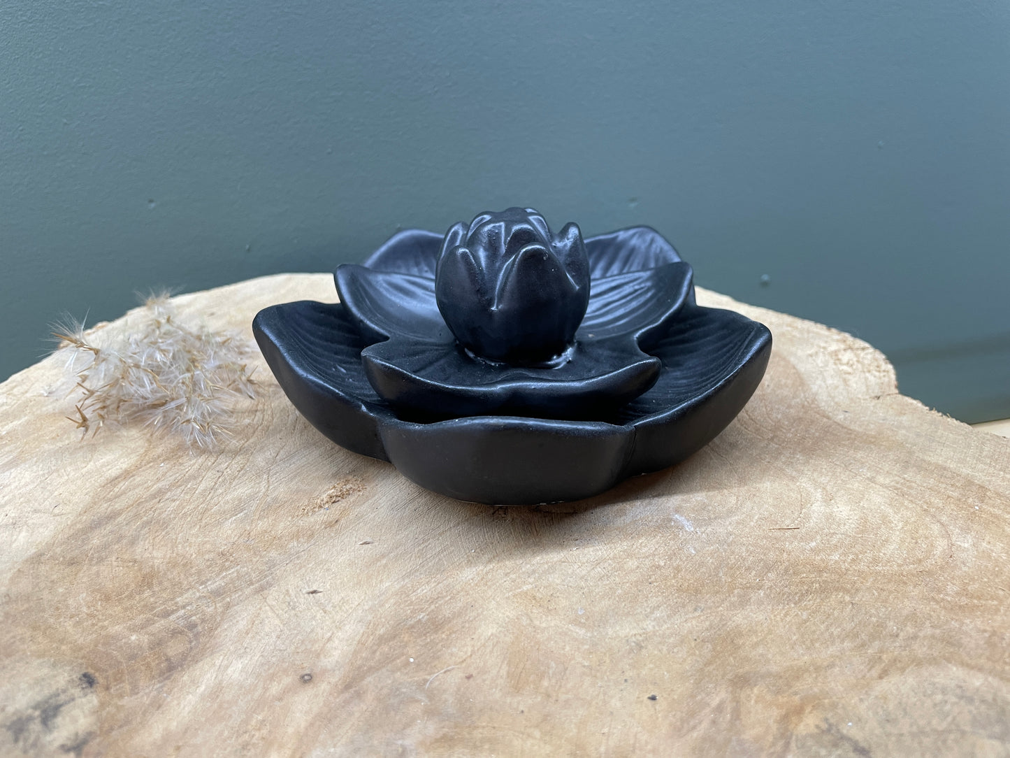 Backflowbrander, lotus