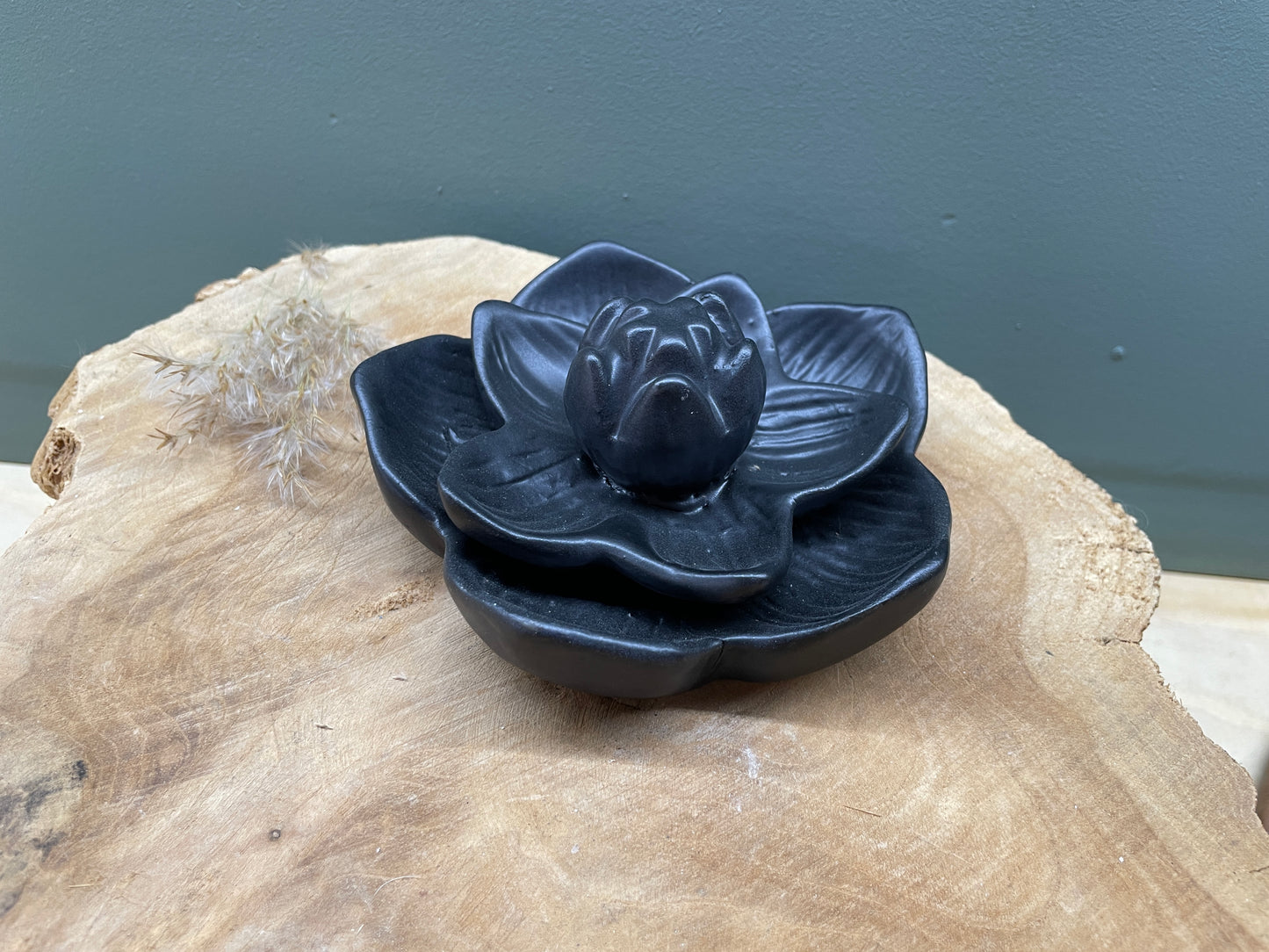 Backflowbrander, lotus