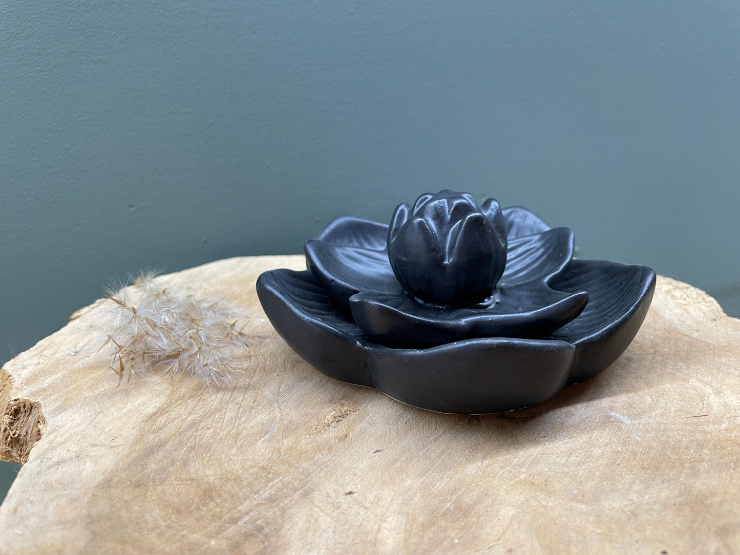 Backflowbrander, lotus