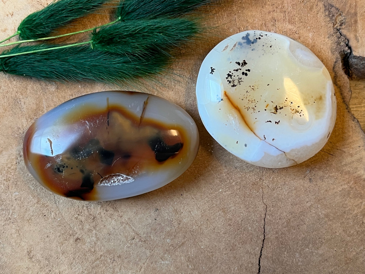 Dendriet agaat grote handsteen