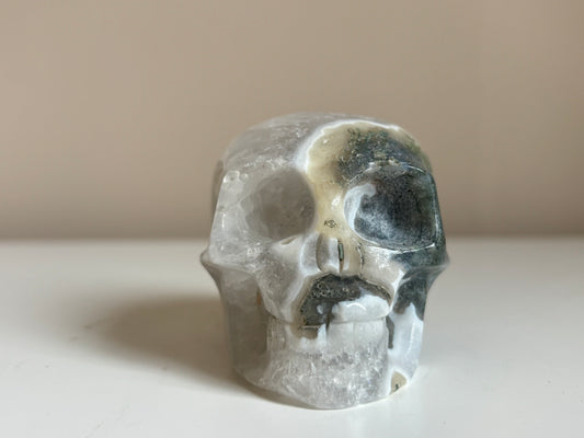 Agaat mos, skull