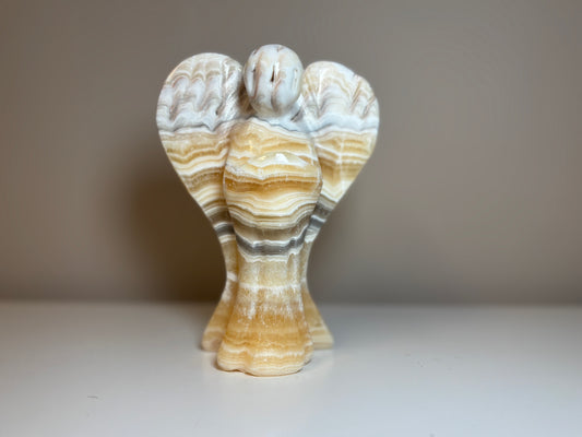 Calciet zebra, engel