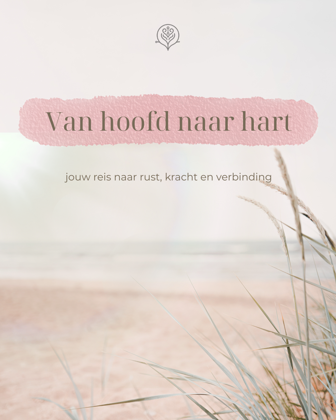 Cursus van hoofd naar hart