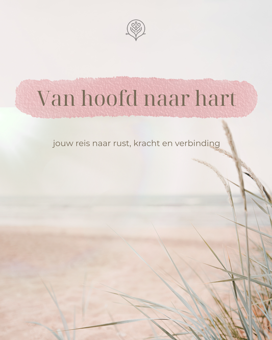 Cursus van hoofd naar hart
