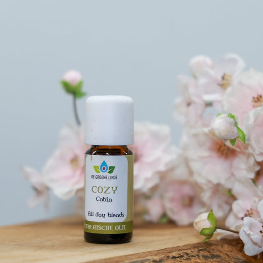 Productfoto van Cozy Cabin etherische olie 10 ml van De Groene Linde