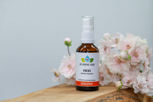 Flesje De Groene Linde – Focus auraspray 50 ml van DIBA, frisse geur met citroen, rozemarijn en citroenmunt voor concentratie en energie