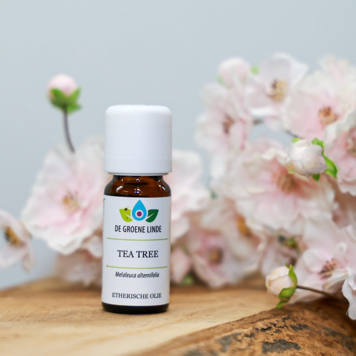 Productfoto van Tea Tree etherische olie 10 ml van De Groene Linde