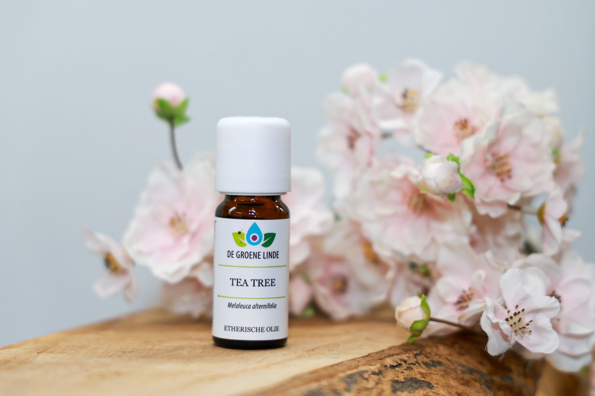 De Groene Linde – Tea Tree etherische olie 10 ml van DIBA, zuiverende natuurlijke olie voor weerstand, balans en bescherming