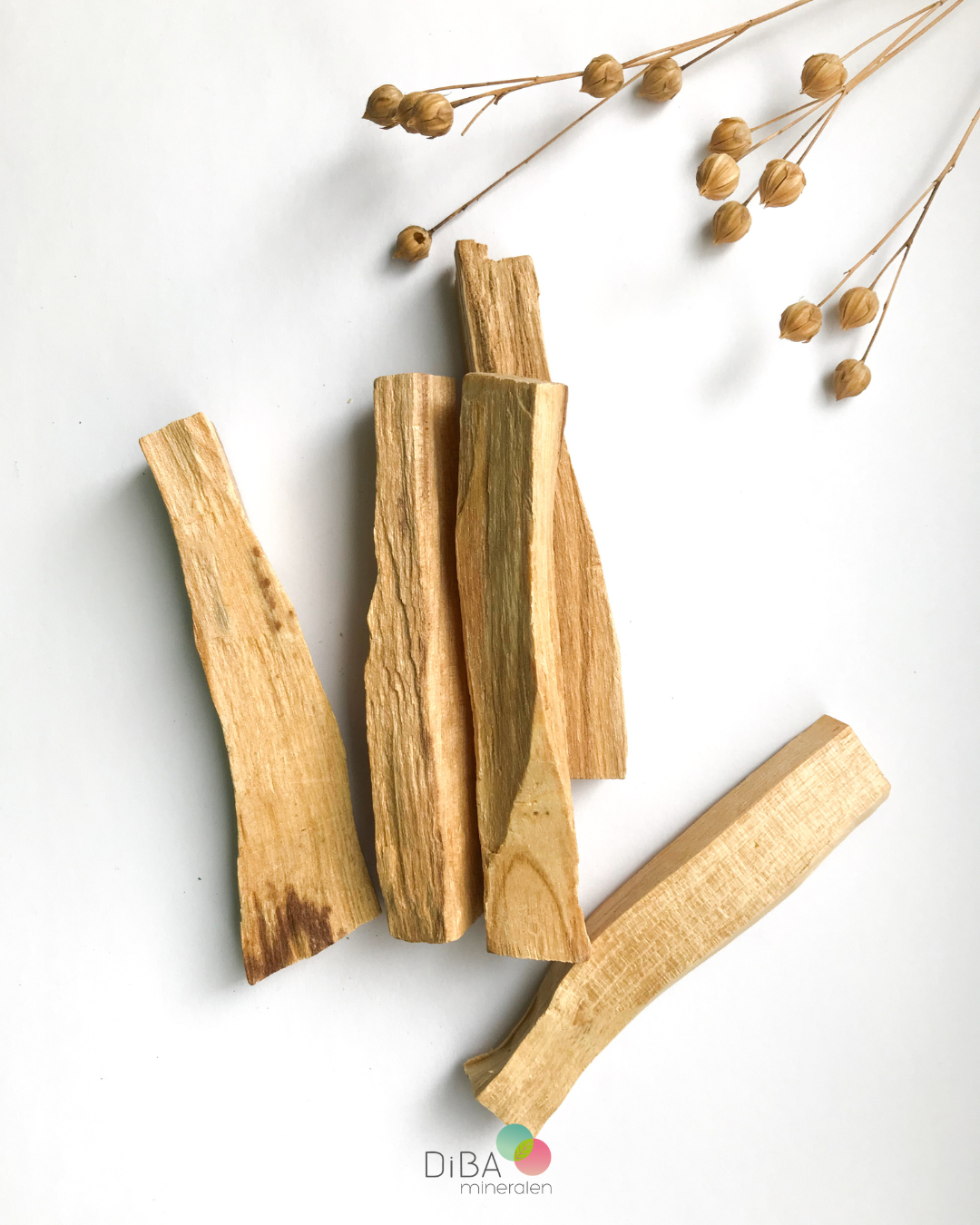 Palo Santo – Heilig Hout voor Zuivering & Rust